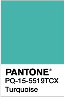color of the year 2010